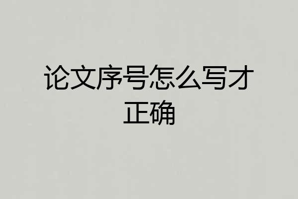 论文序号怎么写才正确