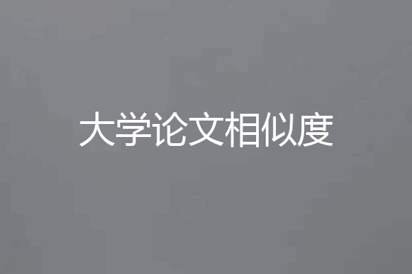 大学论文相似度