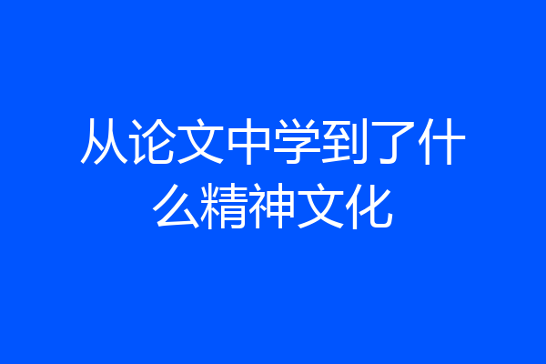 从论文中学到了什么精神文化