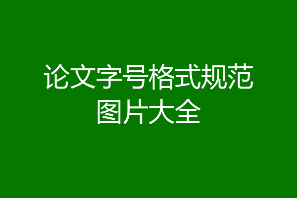论文字号格式规范图片大全
