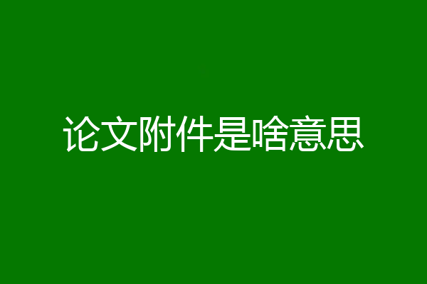 论文附件是啥意思