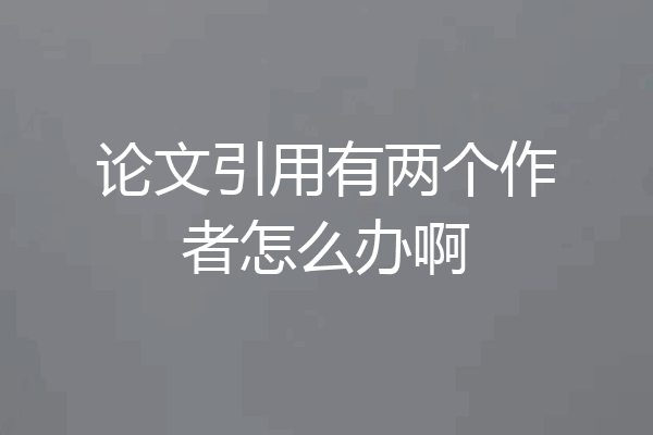 论文引用有两个作者怎么办啊