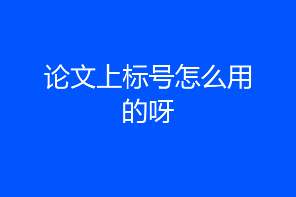论文上标号怎么用的呀