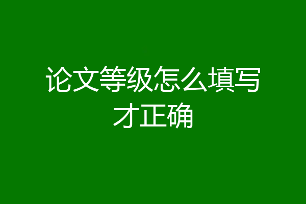 论文等级怎么填写才正确