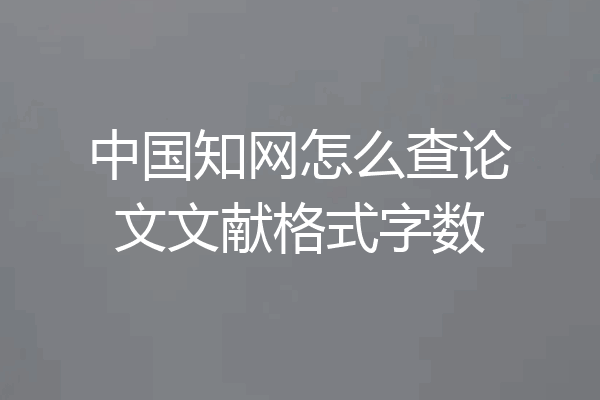 中国知网怎么查论文文献格式字数