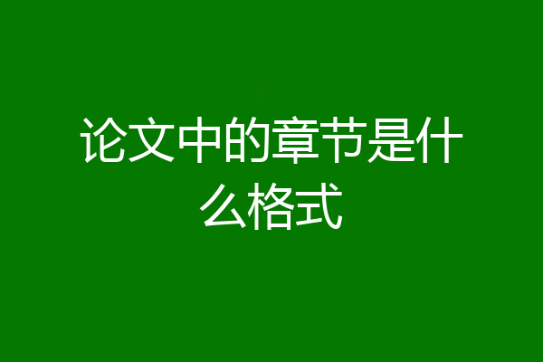 论文中的章节是什么格式
