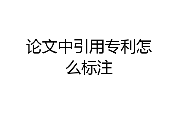 论文中引用专利怎么标注