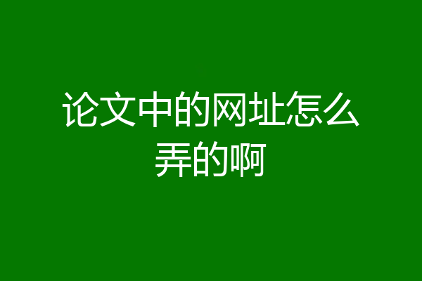 论文中的网址怎么弄的啊