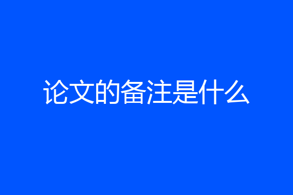 论文的备注是什么