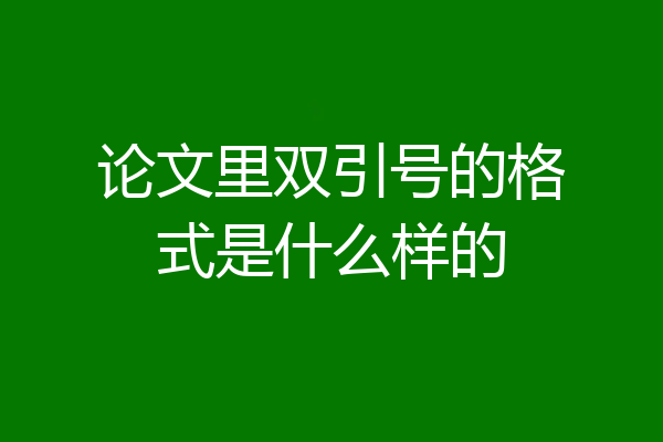 论文里双引号的格式是什么样的