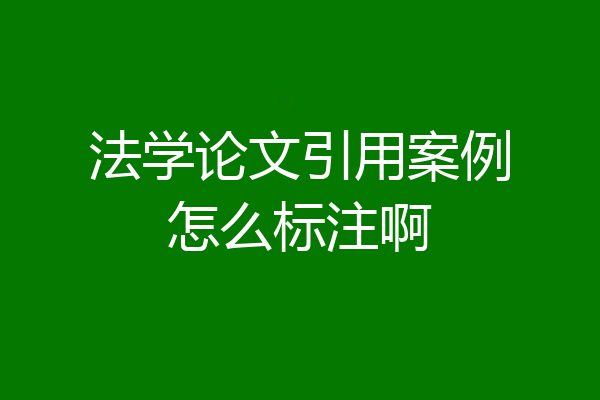 法学论文引用案例怎么标注啊