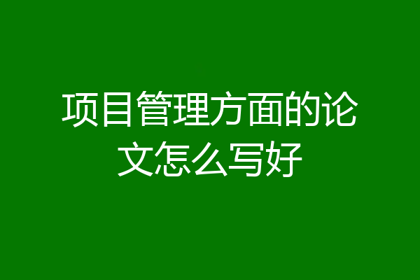 项目管理方面的论文怎么写好