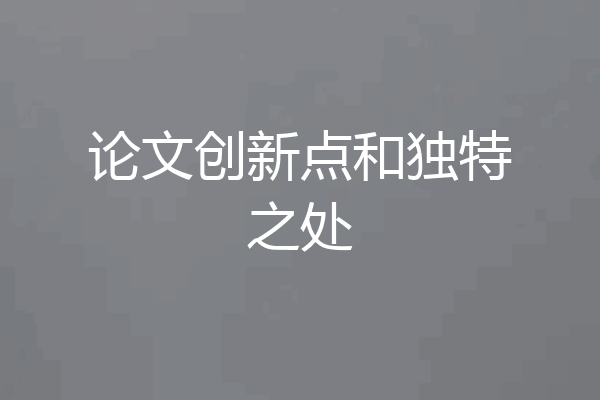 论文创新点和独特之处
