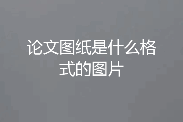 论文图纸是什么格式的图片