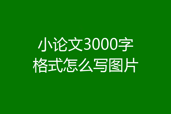 小论文3000字格式怎么写图片