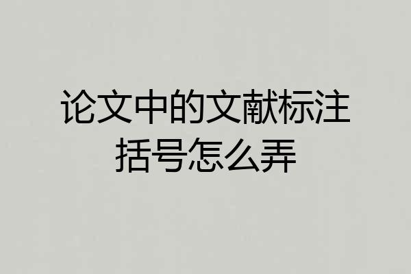 论文中的文献标注括号怎么弄