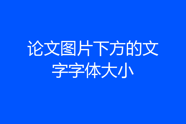 论文图片下方的文字字体大小