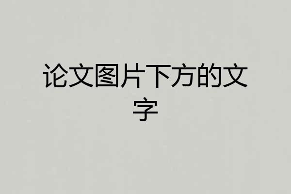 论文图片下方的文字