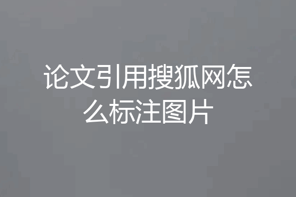 论文引用搜狐网怎么标注图片