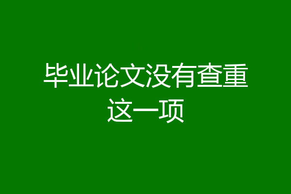 毕业论文没有查重这一项