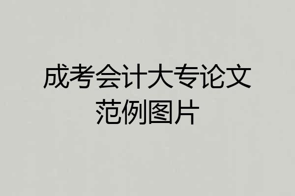 成考会计大专论文范例图片