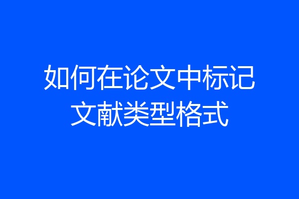 如何在论文中标记文献类型格式