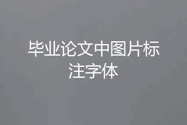 毕业论文中图片标注字体
