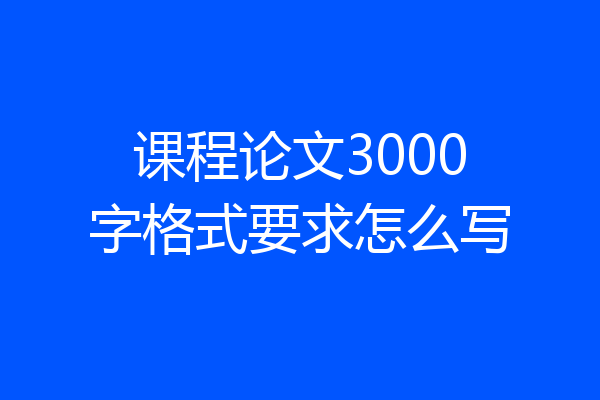 课程论文3000字格式要求怎么写