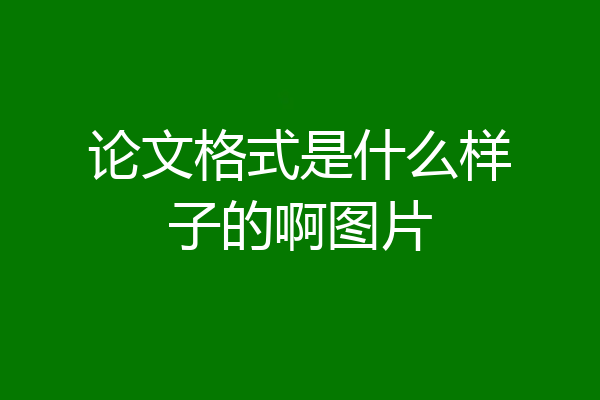论文格式是什么样子的啊图片