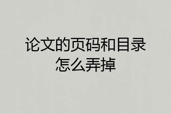 论文的页码和目录怎么弄掉