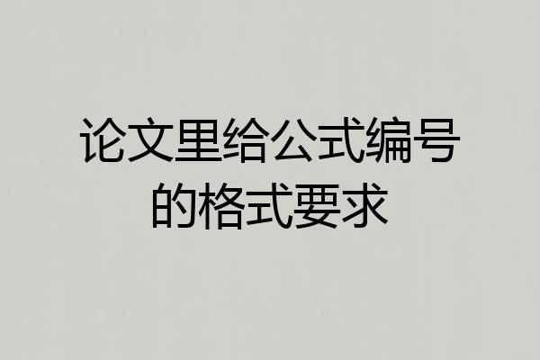 论文里给公式编号的格式要求