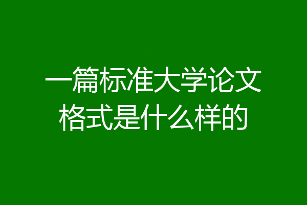 一篇标准大学论文格式是什么样的