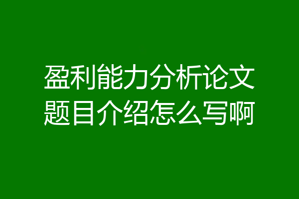 盈利能力分析论文题目介绍怎么写啊
