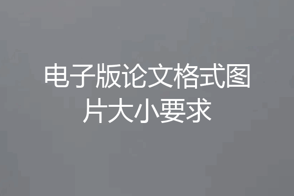 电子版论文格式图片大小要求