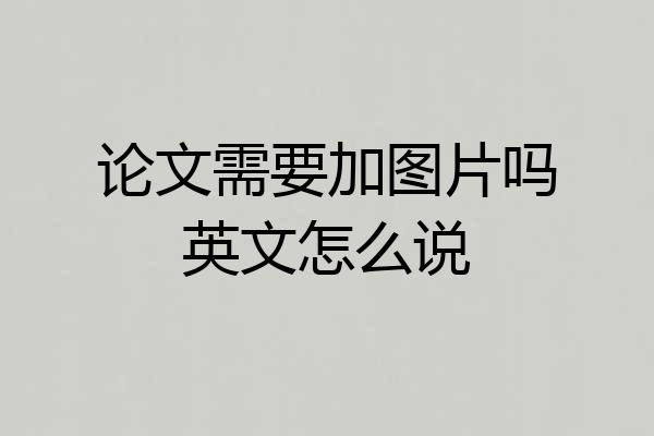 论文需要加图片吗英文怎么说