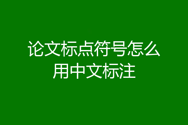 论文标点符号怎么用中文标注