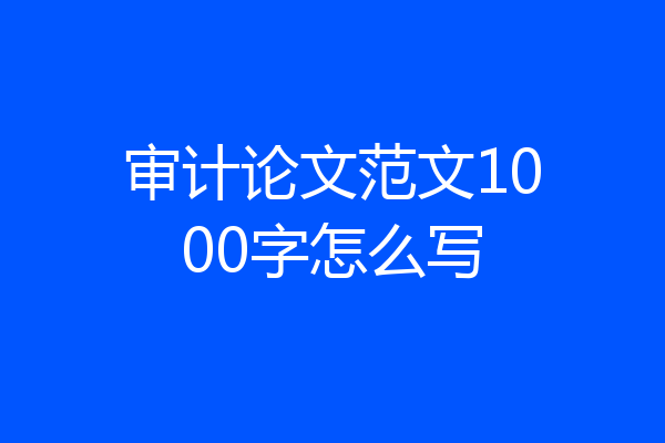 审计论文范文1000字怎么写