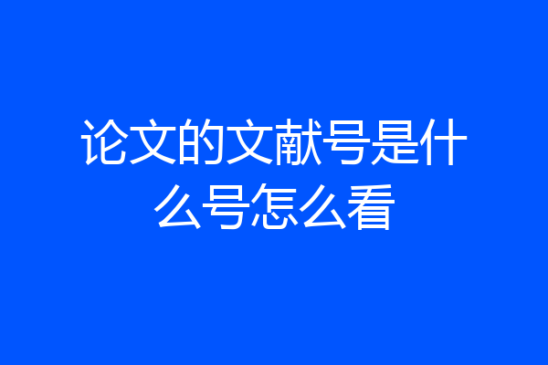 论文的文献号是什么号怎么看