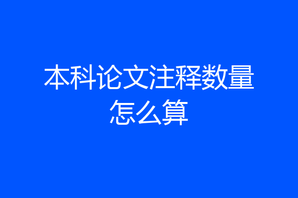 本科论文注释数量怎么算