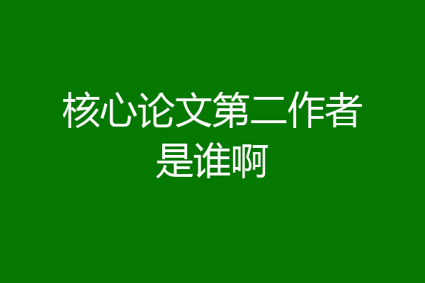 核心论文第二作者是谁啊