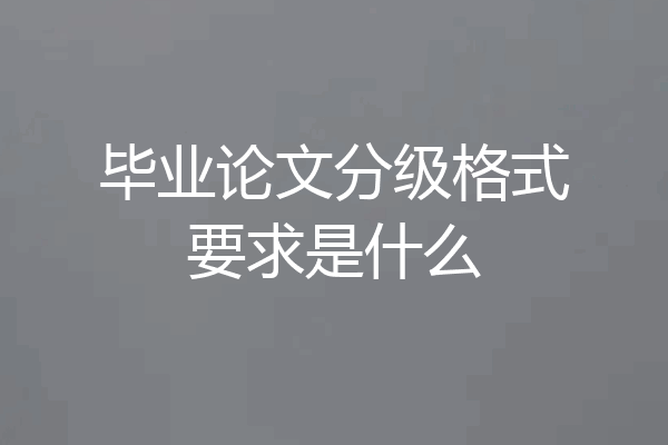 毕业论文分级格式要求是什么