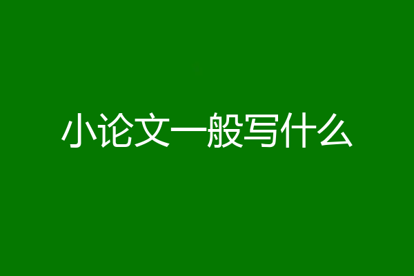 小论文一般写什么