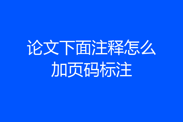 论文下面注释怎么加页码标注
