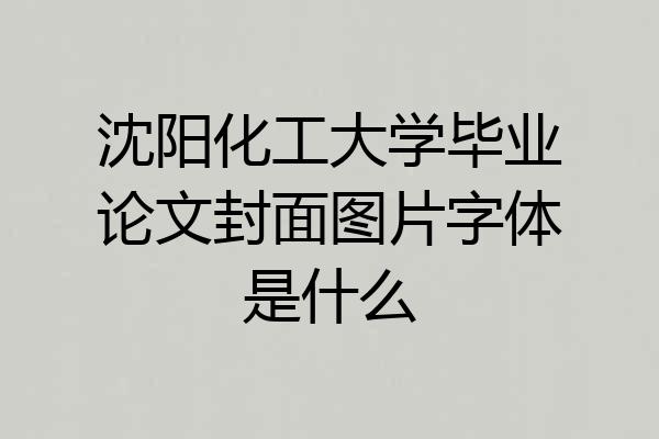 沈阳化工大学毕业论文封面图片字体是什么
