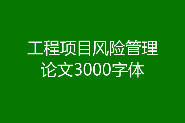 工程项目风险管理论文3000字体
