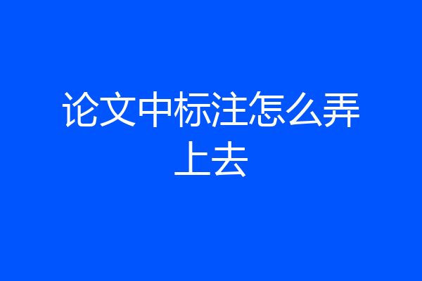 论文中标注怎么弄上去
