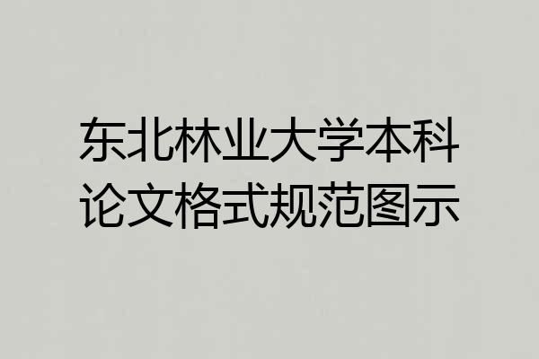 东北林业大学本科论文格式规范图示