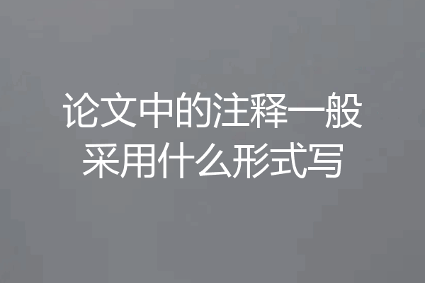 论文中的注释一般采用什么形式写