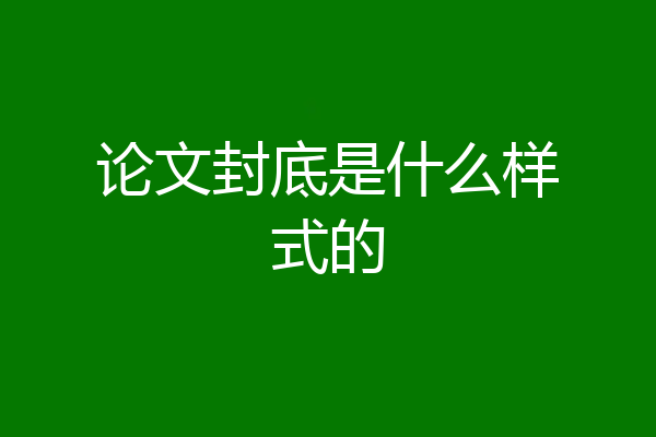 论文封底是什么样式的