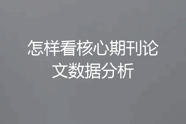 怎样看核心期刊论文数据分析